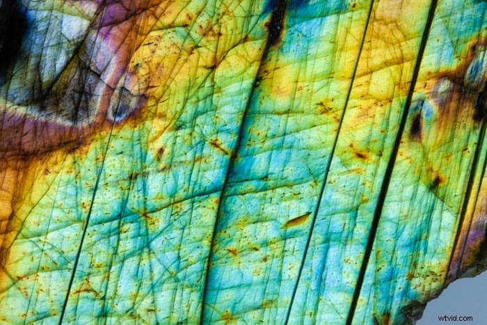 5 Stunning Abstract Macro Photography Ideas to Ignite Your Creativity