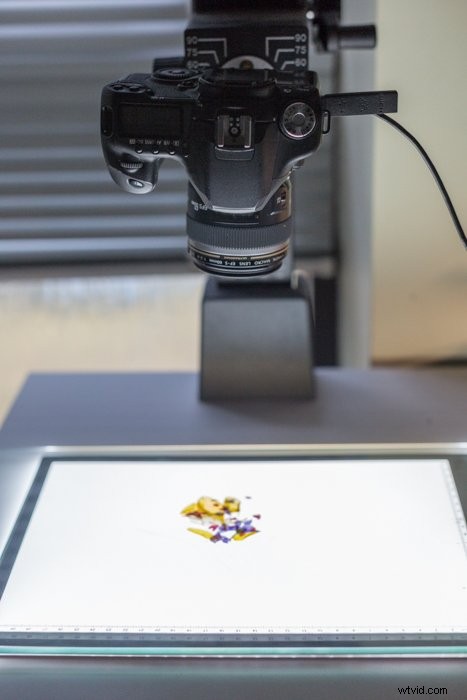 5 Stunning Abstract Macro Photography Ideas to Ignite Your Creativity