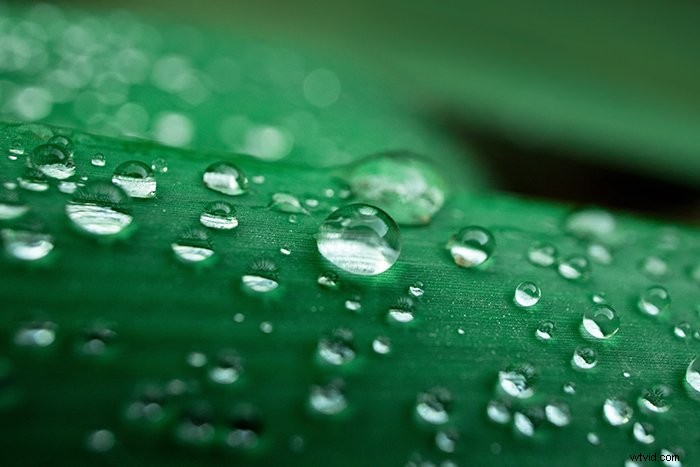 21 Stunning Macro Photography Ideas to Capture Today