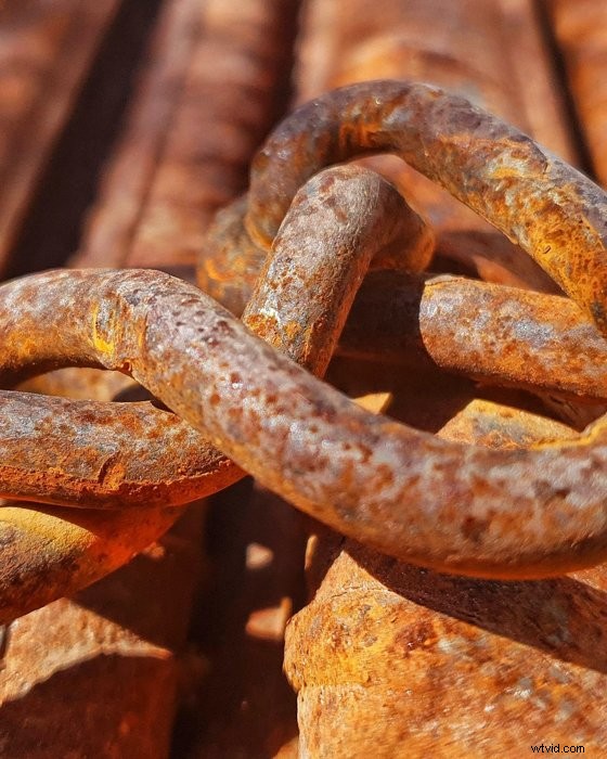 21 Stunning Macro Photography Ideas to Capture Today