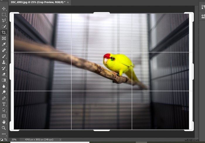 Create Stunning Glitch Effects in Photoshop: Step-by-Step Tutorial