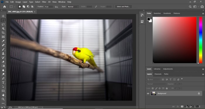 Create Stunning Glitch Effects in Photoshop: Step-by-Step Tutorial