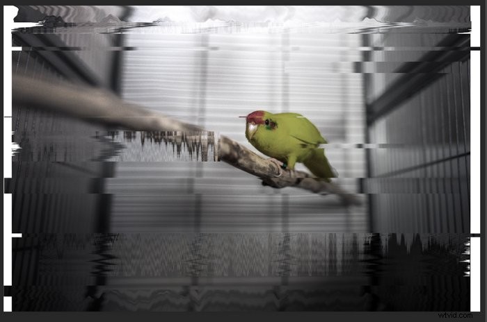 Create Stunning Glitch Effects in Photoshop: Step-by-Step Tutorial