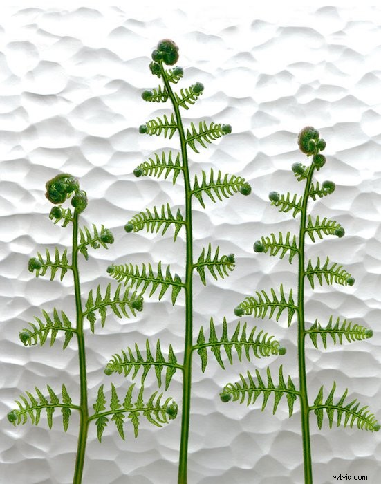 Master Scanography: Create Stunning Photos by Scanning 3D Objects