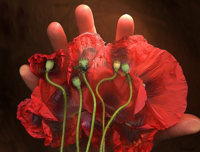 Master Scanography: Create Stunning Photos by Scanning 3D Objects