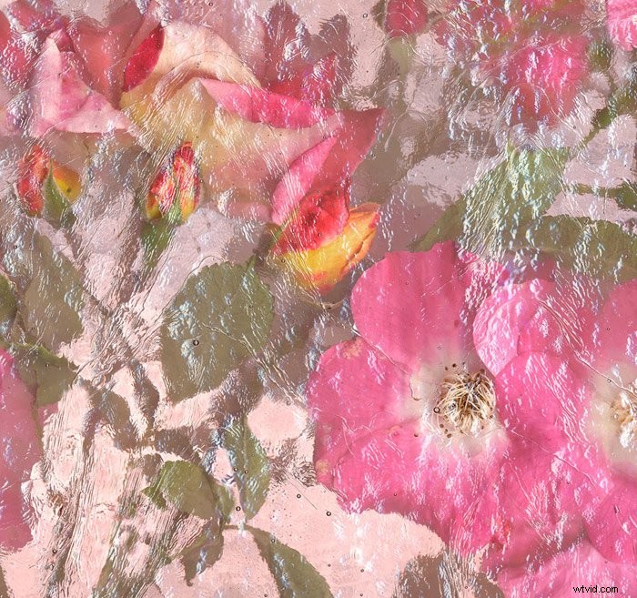 Master Scanography: Create Stunning Photos by Scanning 3D Objects