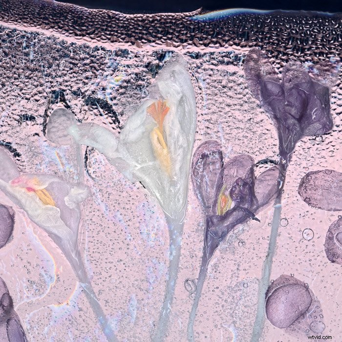 Master Scanography: Create Stunning Photos by Scanning 3D Objects