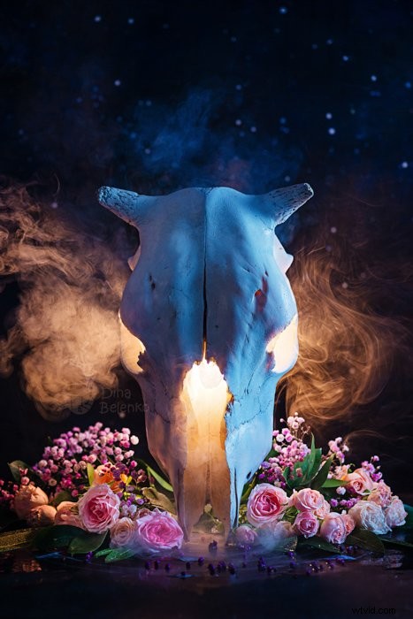 Master Creative Photography: 54 Expert Tutorials & Guides