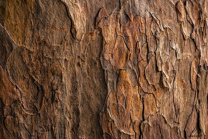 Master Abstract Photography: 112 Expert Tips & Techniques