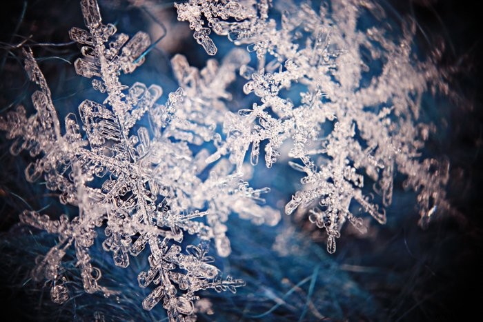 Master Snowflake Photography: Expert Tips for Stunning Macro Shots