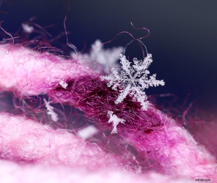 Master Snowflake Photography: Expert Tips for Stunning Macro Shots