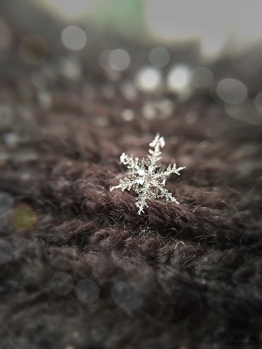 Master Snowflake Photography: Expert Tips for Stunning Macro Shots
