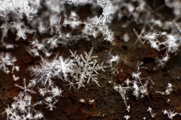 Master Snowflake Photography: Expert Tips for Stunning Macro Shots
