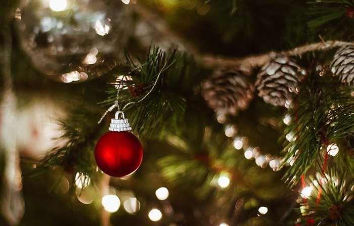 5 Expert Indoor Christmas Photography Ideas & Pro Tips for Stunning Holiday Shots