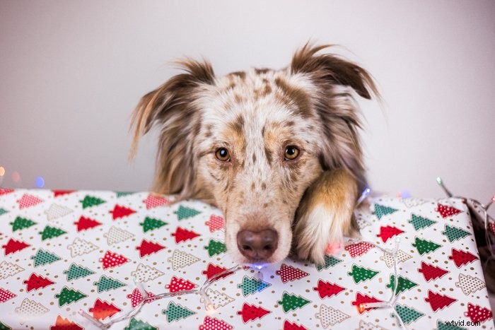 5 Expert Indoor Christmas Photography Ideas & Pro Tips for Stunning Holiday Shots