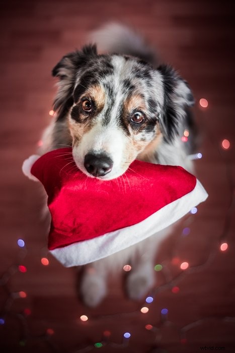 5 Expert Indoor Christmas Photography Ideas & Pro Tips for Stunning Holiday Shots