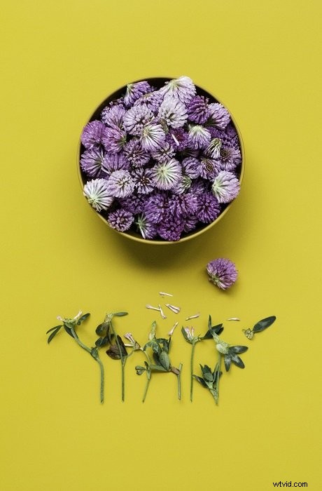 14 Easy DIY Flat Lay Background Ideas for Stunning Photography