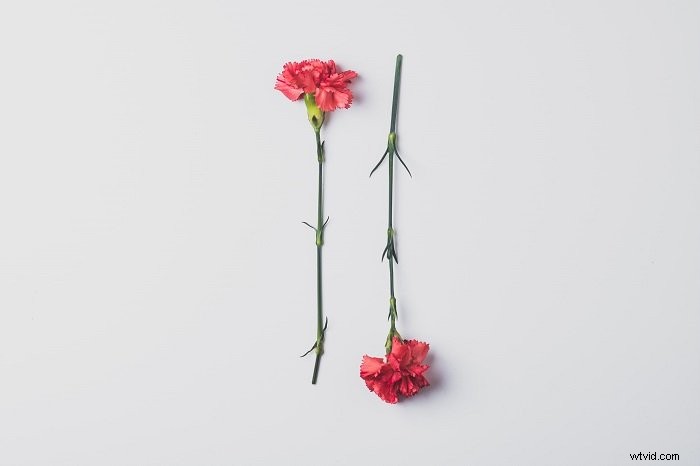 14 Easy DIY Flat Lay Background Ideas for Stunning Photography