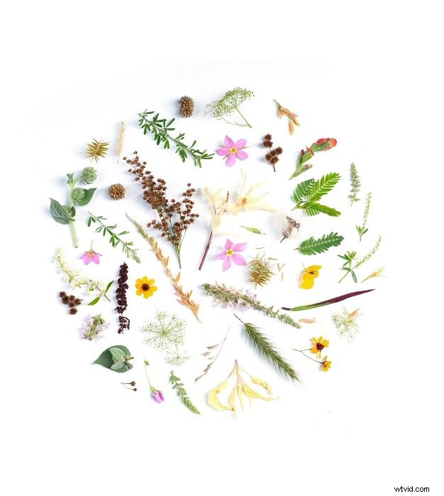 Master Stunning Floral Flat Lay Photography: Expert Tips & Techniques