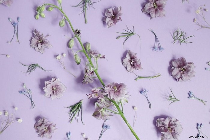 Master Stunning Floral Flat Lay Photography: Expert Tips & Techniques