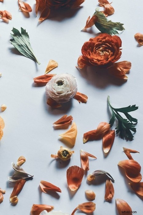 Master Stunning Floral Flat Lay Photography: Expert Tips & Techniques