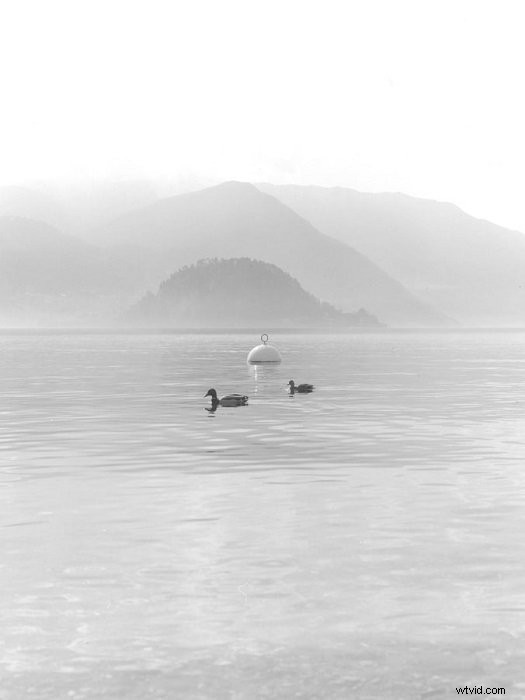 Top 15 Black & White Films to Buy: Expert Picks for Analog Enthusiasts