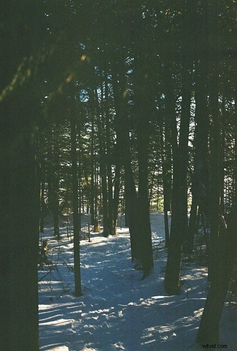 Film vs. Digital Photography: The Ultimate Debate – Which is Truly Better?