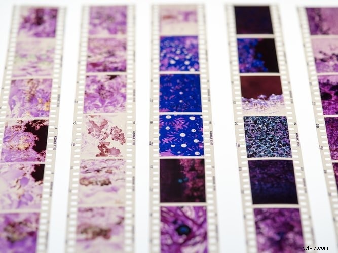 Film vs. Digital Photography: The Ultimate Debate – Which is Truly Better?