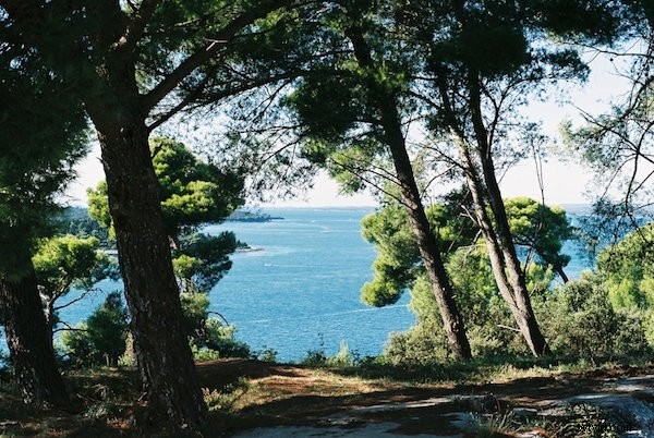 Why I Still Shoot Film: The Timeless Benefits of Analog Photography