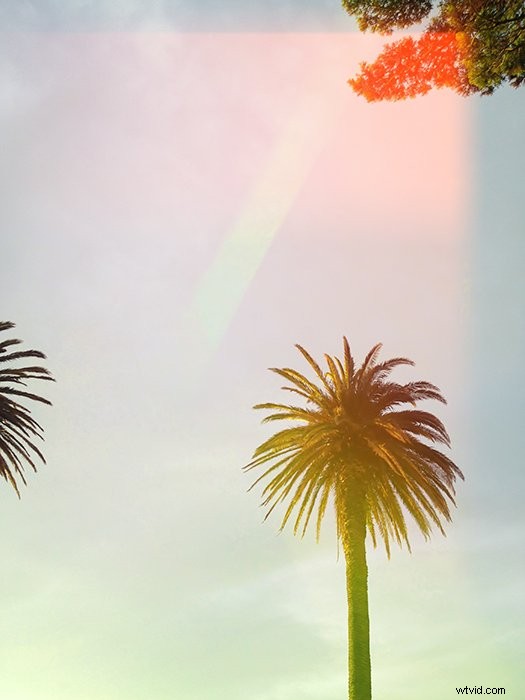 Create Stunning Light Leaks in Film Photography: Pro Tips & Techniques