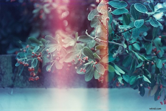 Create Stunning Light Leaks in Film Photography: Pro Tips & Techniques