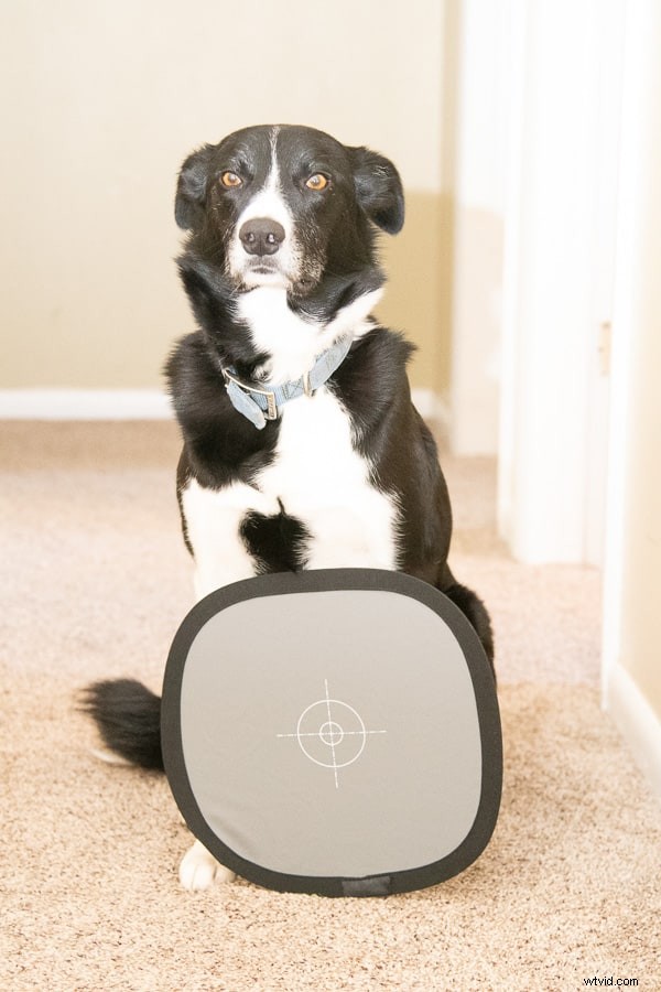 Mastering TTL Flash: Beginner s Guide to How It Works, Why It Fails, and Pro Usage Tips