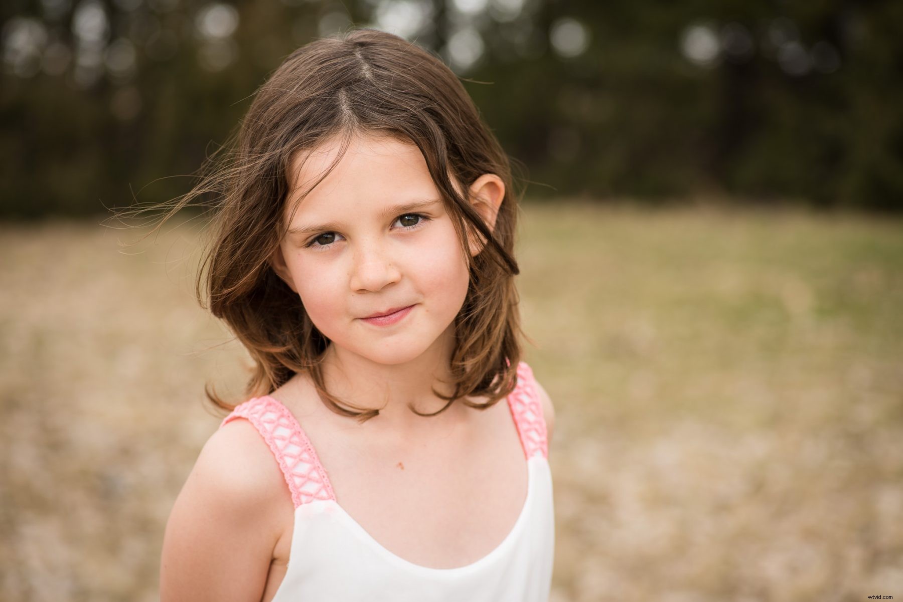 Mastering TTL Flash: Beginner s Guide to How It Works, Why It Fails, and Pro Usage Tips