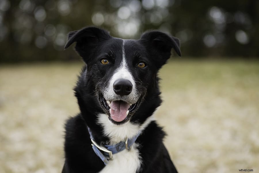 Master Fill Flash Outdoors: Pro Tips for Stunning Portraits