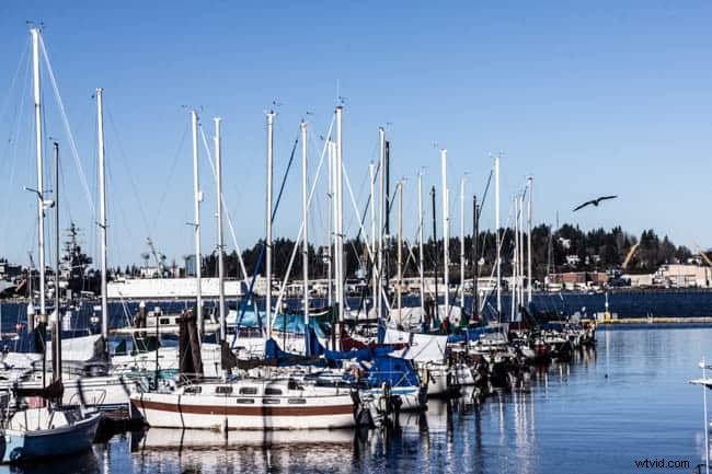 Picasa vs. GIMP: Best Free Photo Editing Software Comparison