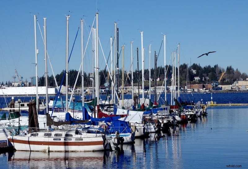 Picasa vs. GIMP: Best Free Photo Editing Software Comparison