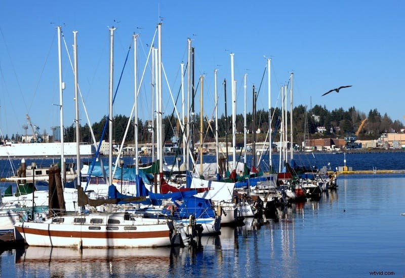 Picasa vs. GIMP: Best Free Photo Editing Software Comparison