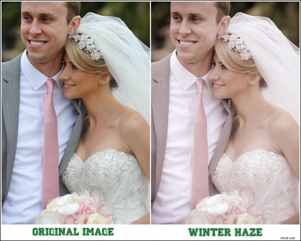 15 Free Essential Lightroom Presets: Transform Your Photos Professionally