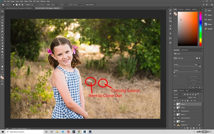 Master the Clone Stamp Tool in Adobe Photoshop: Easy Step-by-Step Guide