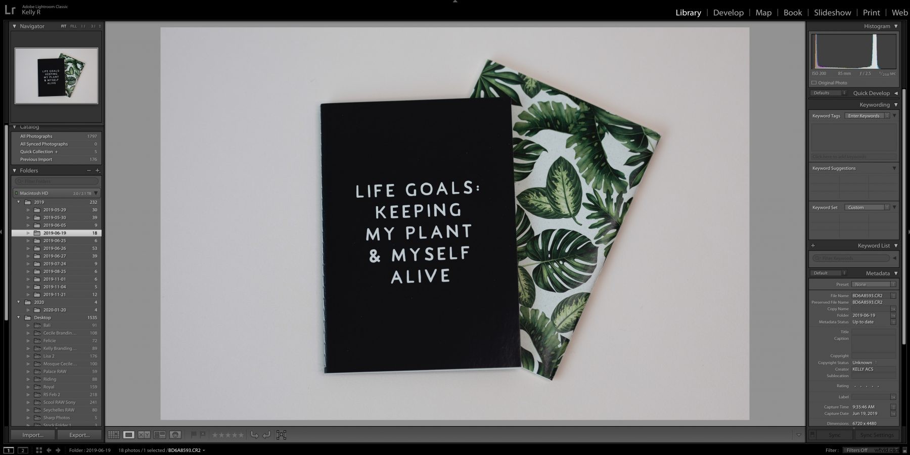 Darktable vs. Adobe Lightroom: Ultimate Photo Editing Software Comparison