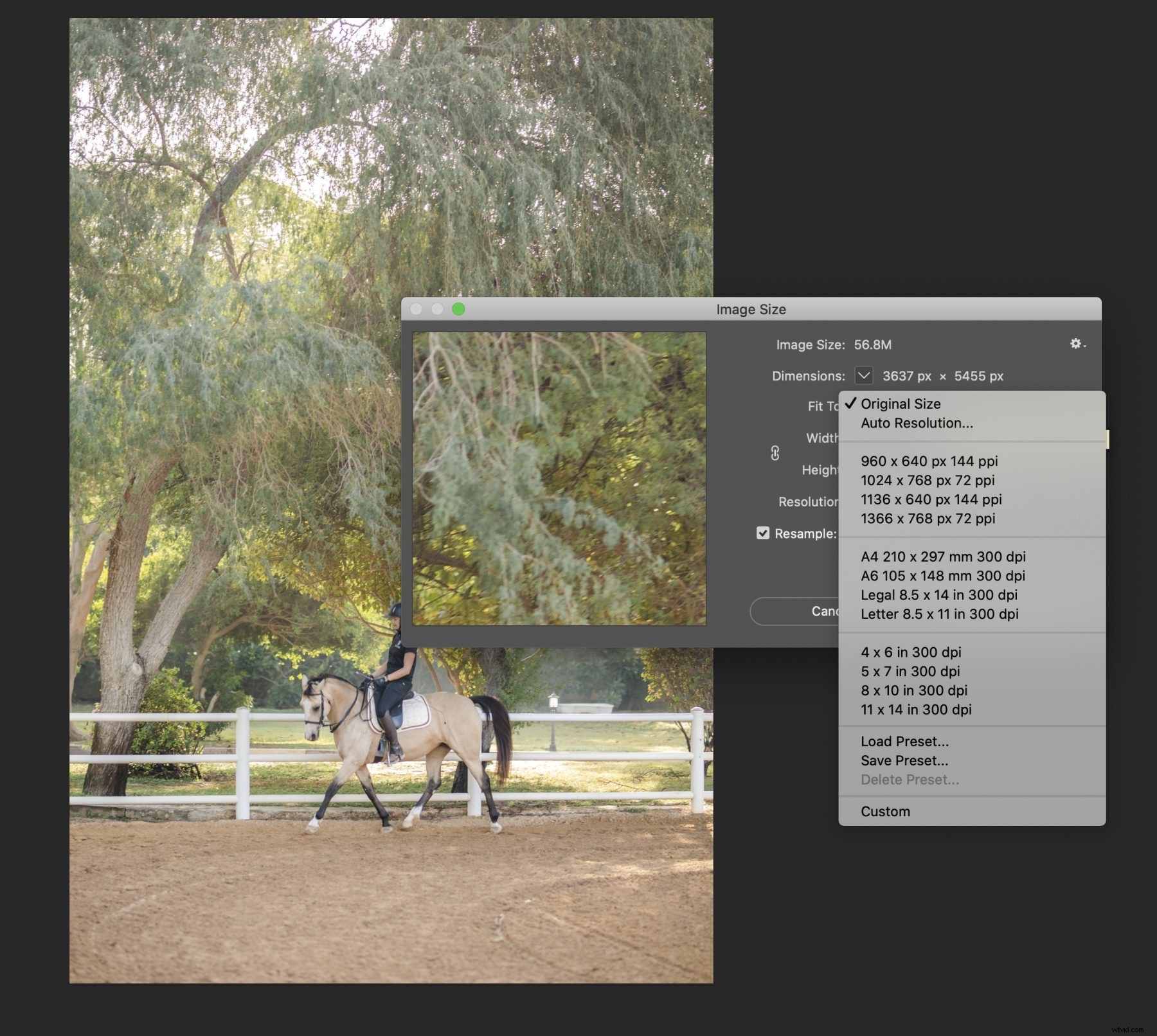 Boost Image Resolution in Photoshop: Expert Step-by-Step Guide