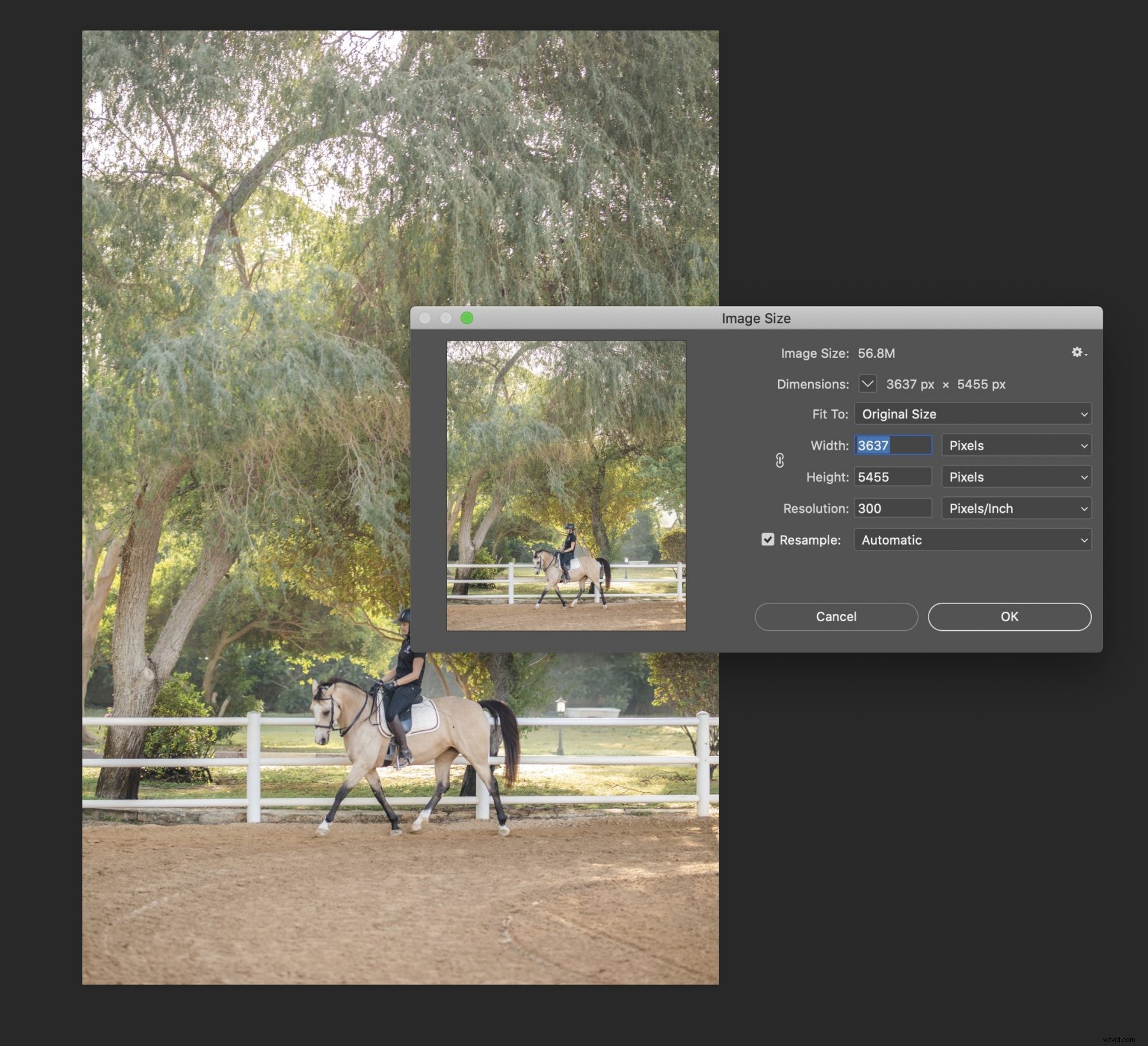 Boost Image Resolution in Photoshop: Expert Step-by-Step Guide