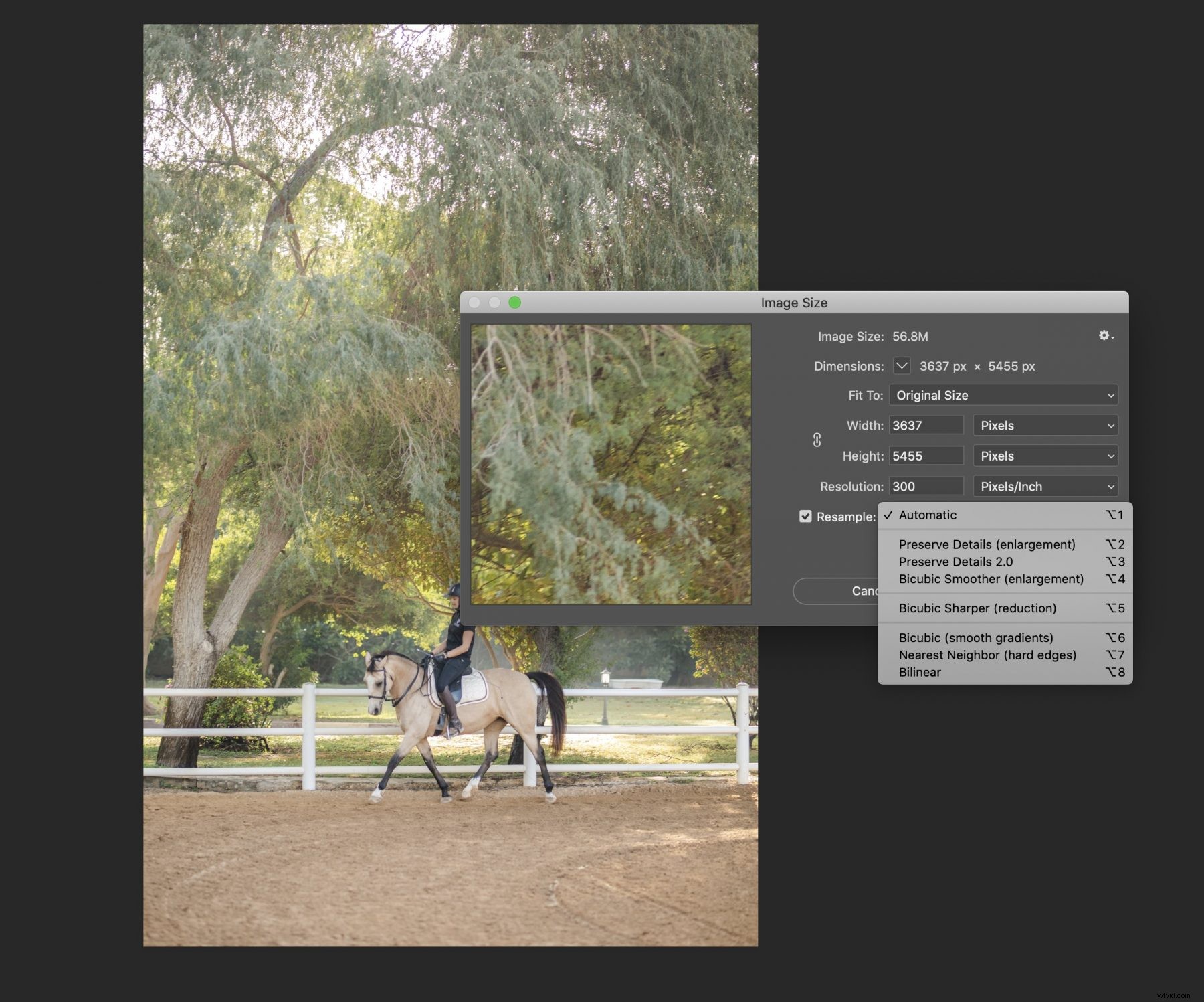 Boost Image Resolution in Photoshop: Expert Step-by-Step Guide