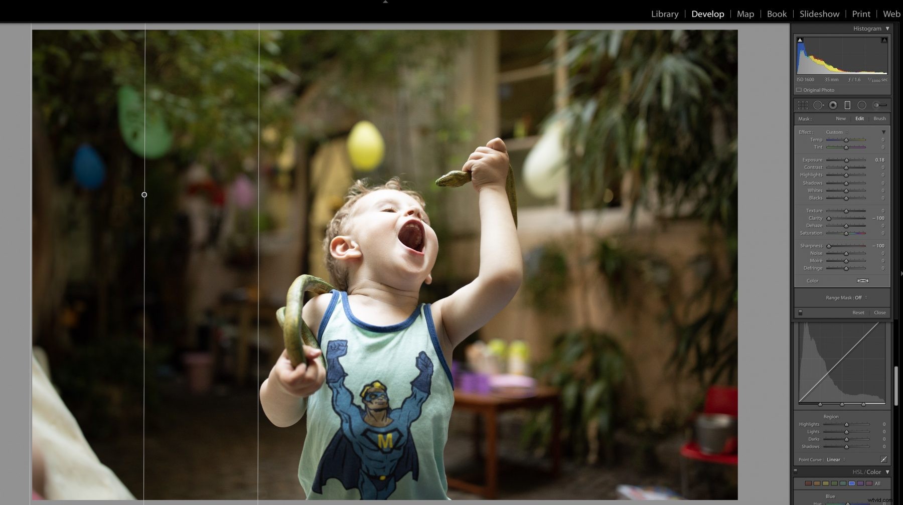 How to Blur Backgrounds in Lightroom: Pro Step-by-Step Guide