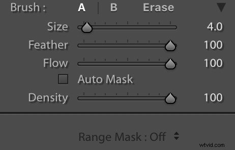 How to Blur Backgrounds in Lightroom: Pro Step-by-Step Guide