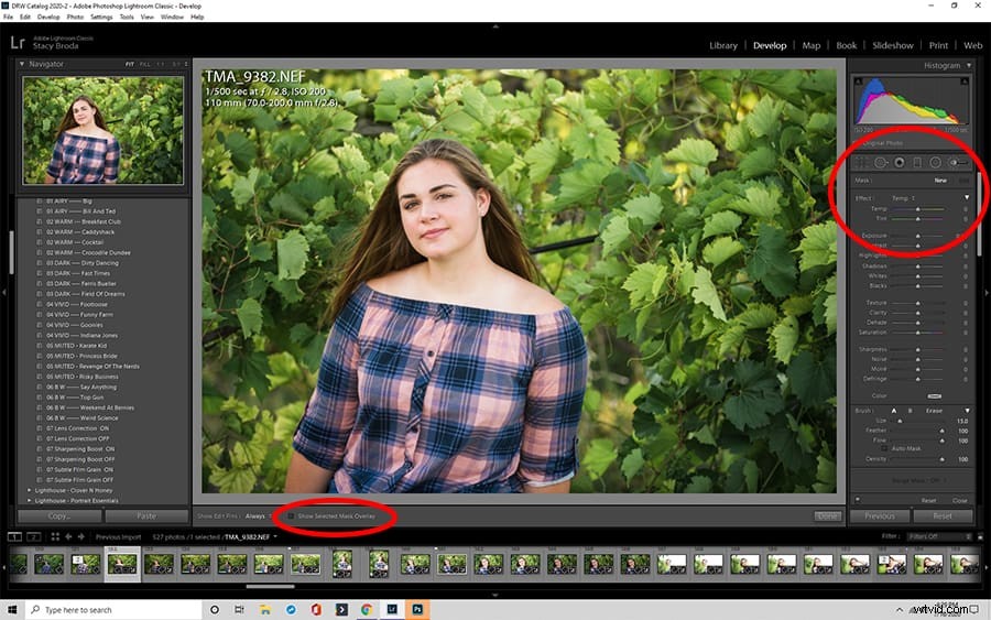 How to Blur Backgrounds in Lightroom: Pro Step-by-Step Guide