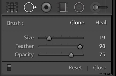 How to Blur Backgrounds in Lightroom: Pro Step-by-Step Guide