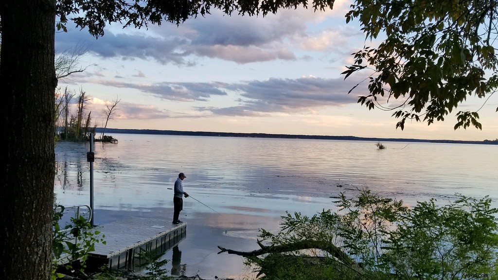 How to Flip Images in Photoshop: Ultimate Step-by-Step Guide