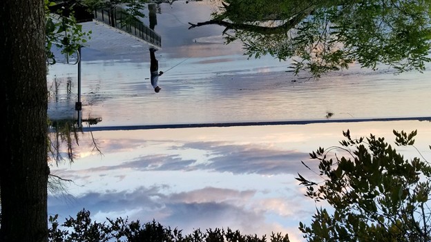 How to Flip Images in Photoshop: Ultimate Step-by-Step Guide