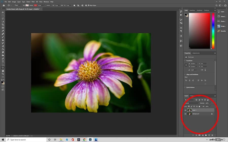 How to Flip Images in Photoshop: Ultimate Step-by-Step Guide